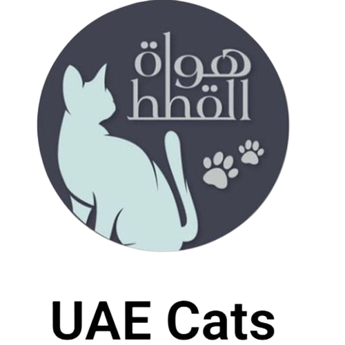 هواة القطط